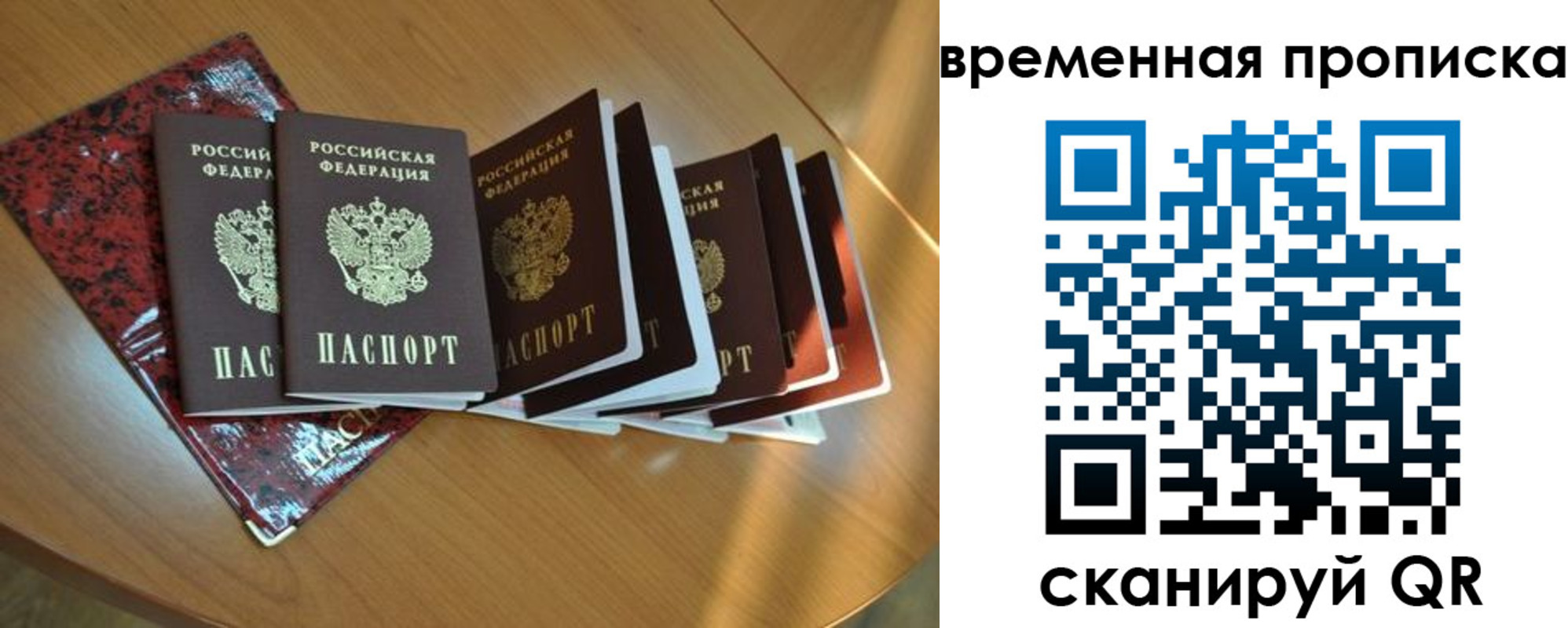 прописка в Невеле